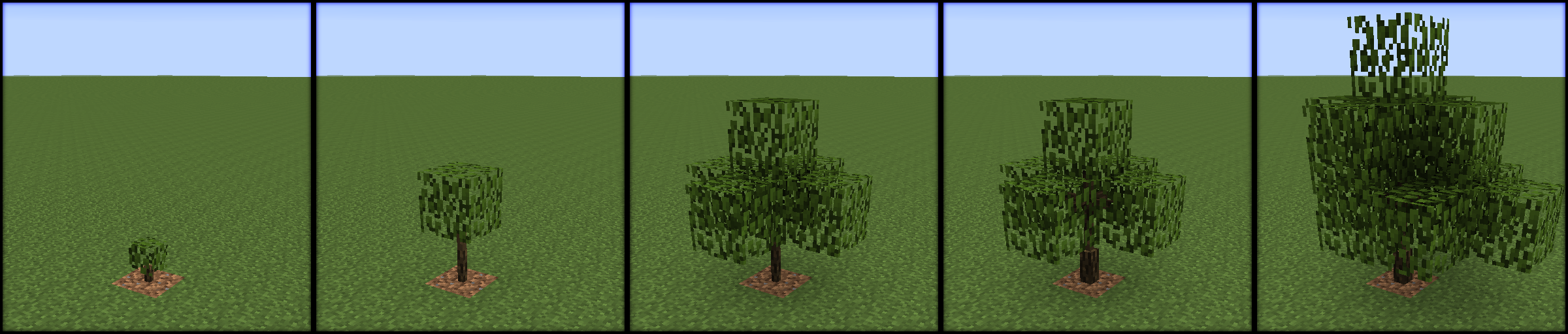 Growing Trees Mod 6